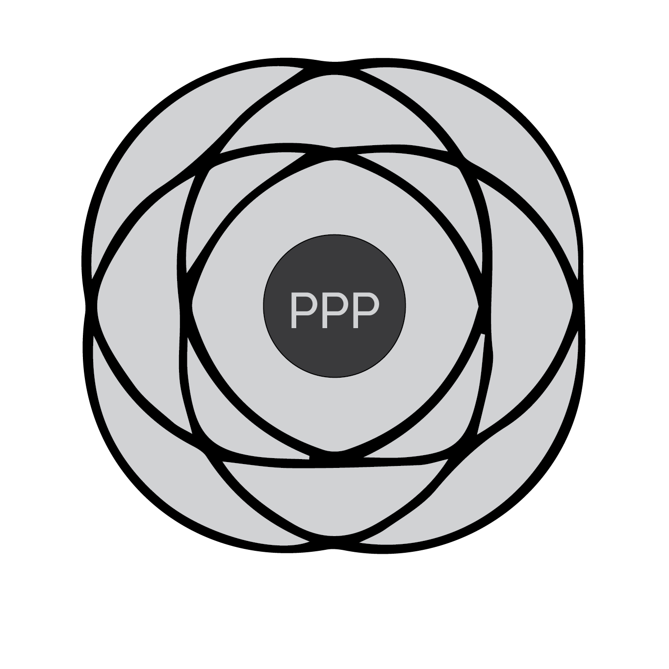 how to develop PPPs