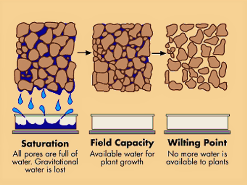 Stages of water holding capacity. Source: BETTER SOILS (n.y.) 