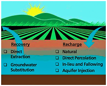 For optimal conjunctive use, recovery and recharge of groundwater needs to be balanced out