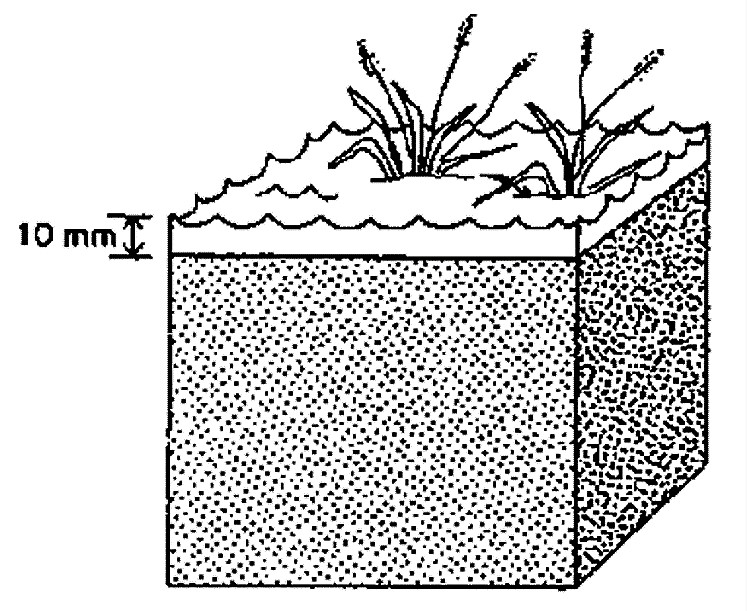 Crop water need for 10 mm a day (on a surface of 1 m2). Source: FAO (1986)