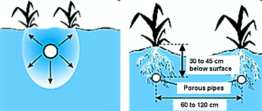  Schematic view of porous pipe irrigation. Source FAO (1997)