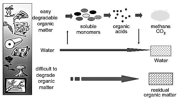 The anaerobic digestion of organic waste. Source: HOLLIGER (2008)