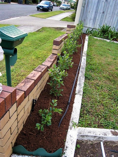 Mulch helps retain moisture in the soil. Drip irrigation lines direct water directly to where plants need it. Source: MENEZES (2008)