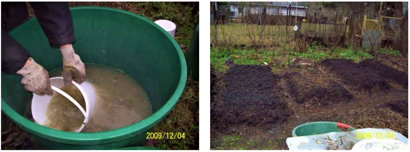 A mixture of bacteria is used for lacto-fermentation of urine (to prevent nitrogen loss) (left). After four weeks of lacto-fermentation, the transformed urine is added to vermicompost heaps prepared from garden waste (right) to increase the nutrient and humic acid content of the terra preta compost. Source: OTTERPOHL (n.y. b)