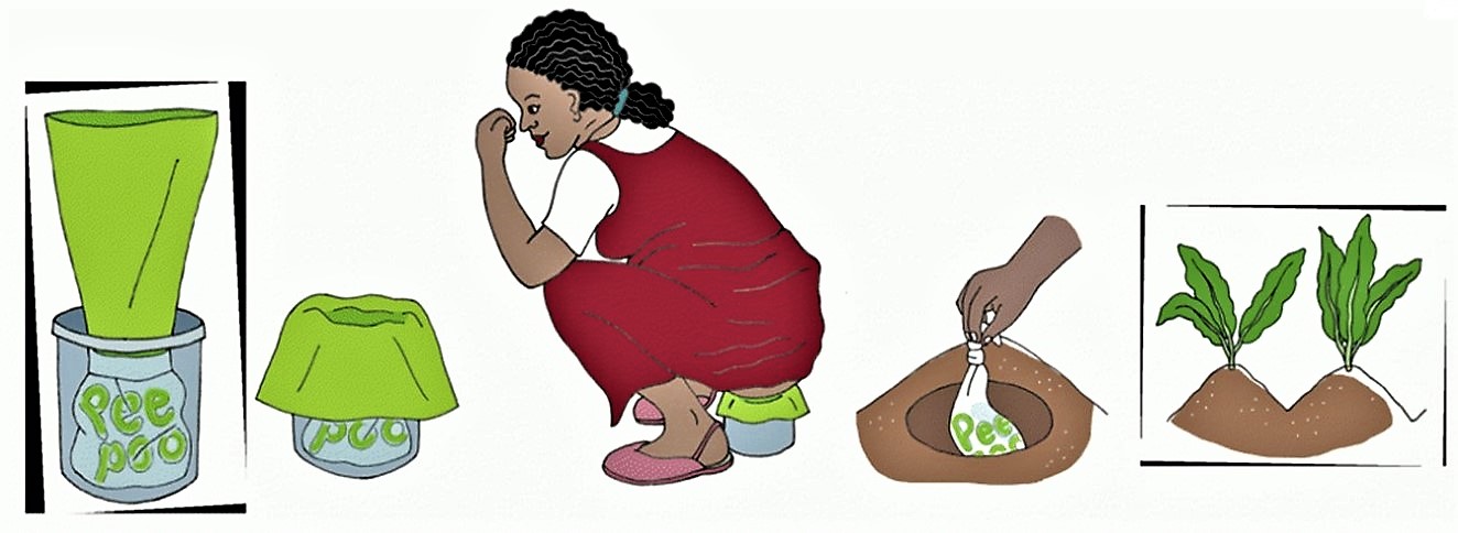 Peepoo used in a bucket, degrading in the soil and finally used as fertiliser. Source: PEEPOOPLE (2010)