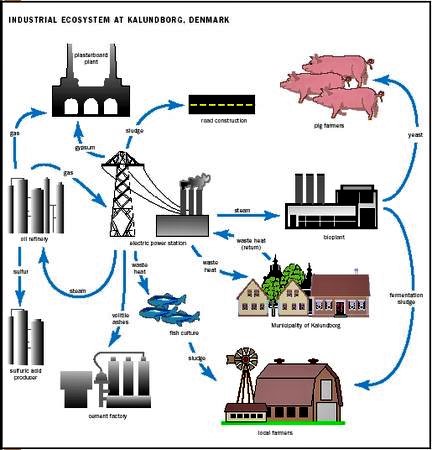 Industrial Ecosystem at Kalundborg, Denmark. Source: POLLUTION ISSUES (2010) 