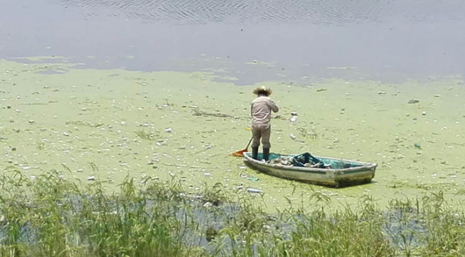 High Pollution in Guadalupe Lake, México. Source: PUNTO MEDIO 2017