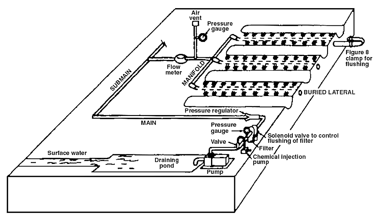 A typical subsurface drip irrigation field layout. Source: REICH et al. (2009)