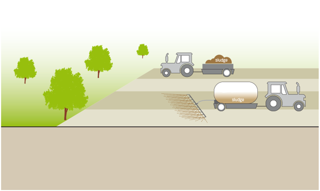 Schematic of land application of sludge. Source: TILLEY et al. (2014)