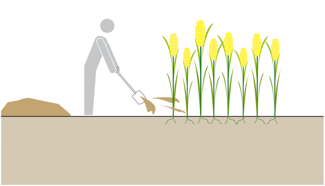 Schematic of the use of compost. Source: TILLEY et al. (2014)