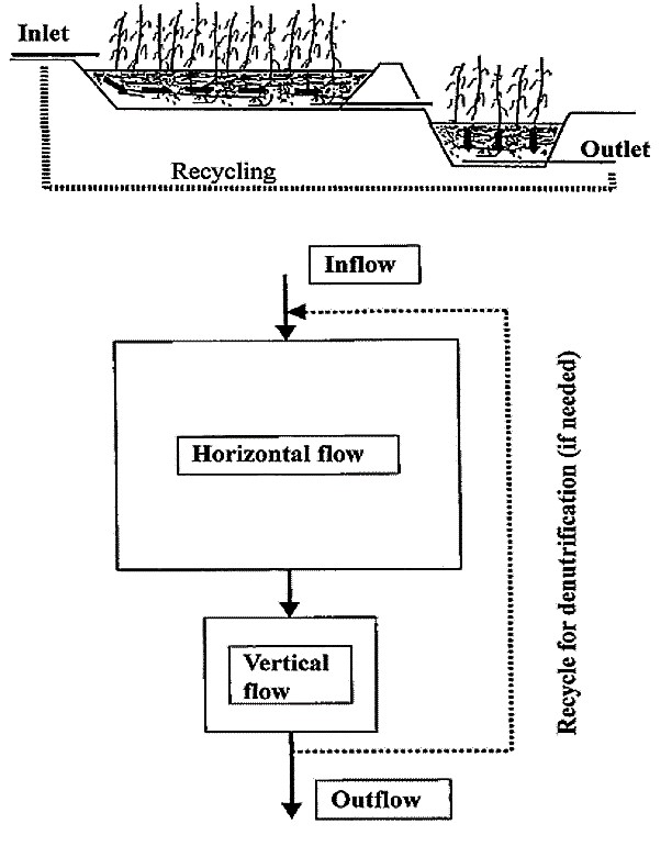 Two stage HF-VF hybrid constructed wetland based on Brix and Johansson. Source: VYMAZAL (2005)