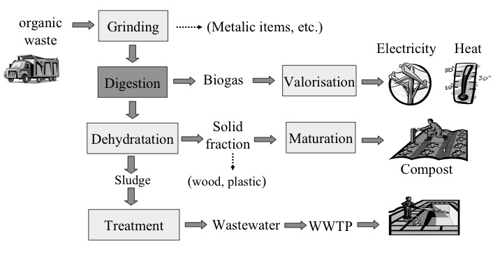 municipal solid waste thesis Municipal solid waste management systems: case studies of dalian city, china and the region of waterloo, canada by xudong chen a thesis presented. municipal solid waste thesis Municipal solid waste management systems: case studies of dalian city, china and the region of waterloo, canada by xudong chen a thesis presented.