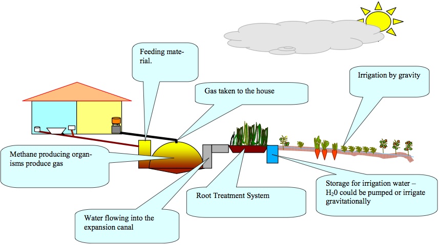 Phd thesis biogas