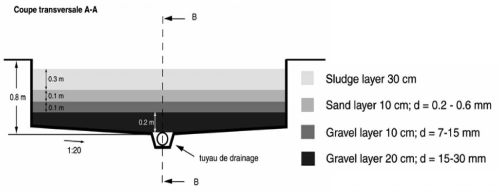 Crosscut of an unplanted drying bed . Source: STRAUSS & MONTANGERO ...