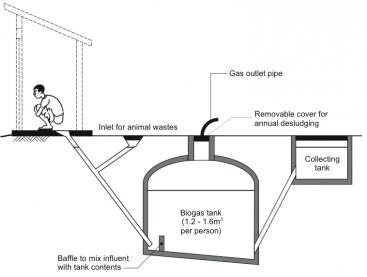 biomass power plant thesis One biomass energy based biomass gasification means incomplete combustion of biomass resulting in the possibility of using this gas for heating and power. biomass power plant thesis One biomass energy based biomass gasification means incomplete combustion of biomass resulting in the possibility of using this gas for heating and power.