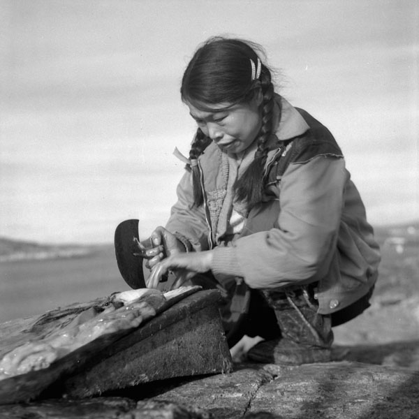 Source: Rosemary Gilliat/National Film Board of Canada (august 1960), Taktu Cleaning Fat from Seal Skin with an Ulu. License: Creative Commons CC BY 2.0. URL: www.flickr.com 