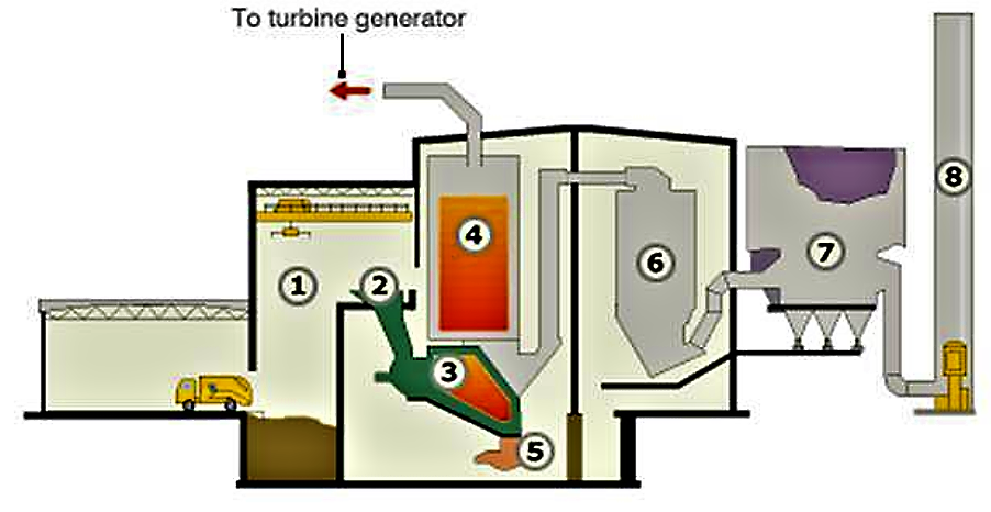 Waste is tipped into a holding area (1) where it is picked up by grabs and dropped into a hopper (2). The waste is pushed gradually into the incinerator (3) which runs at a temperature of 750 °C. Heat from the burning waste is used in a boiler (4) and steam from this is piped to a turbine generator to create electricity. The heaviest ash falls into a collection point (5) and is passed over with an electromagnet to extract metal content for recycling. Flue gases containing fine ash then pass through a scrubber reactor (6) to treat acid pollutants such as SO2 and also dioxins. The gases then pass through a fine particulate removal system (7) and are released through the chimney stack (8). Source: BBC (2009)