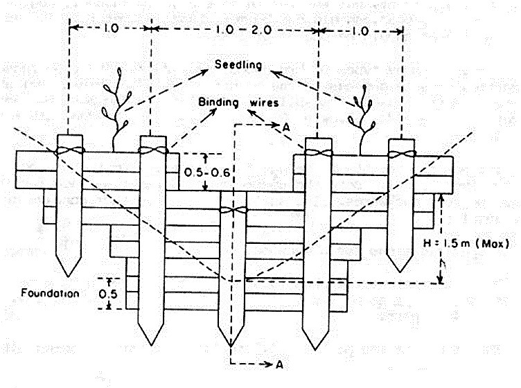 Front view of a proper designed log check dam. Source: FAO (1986)