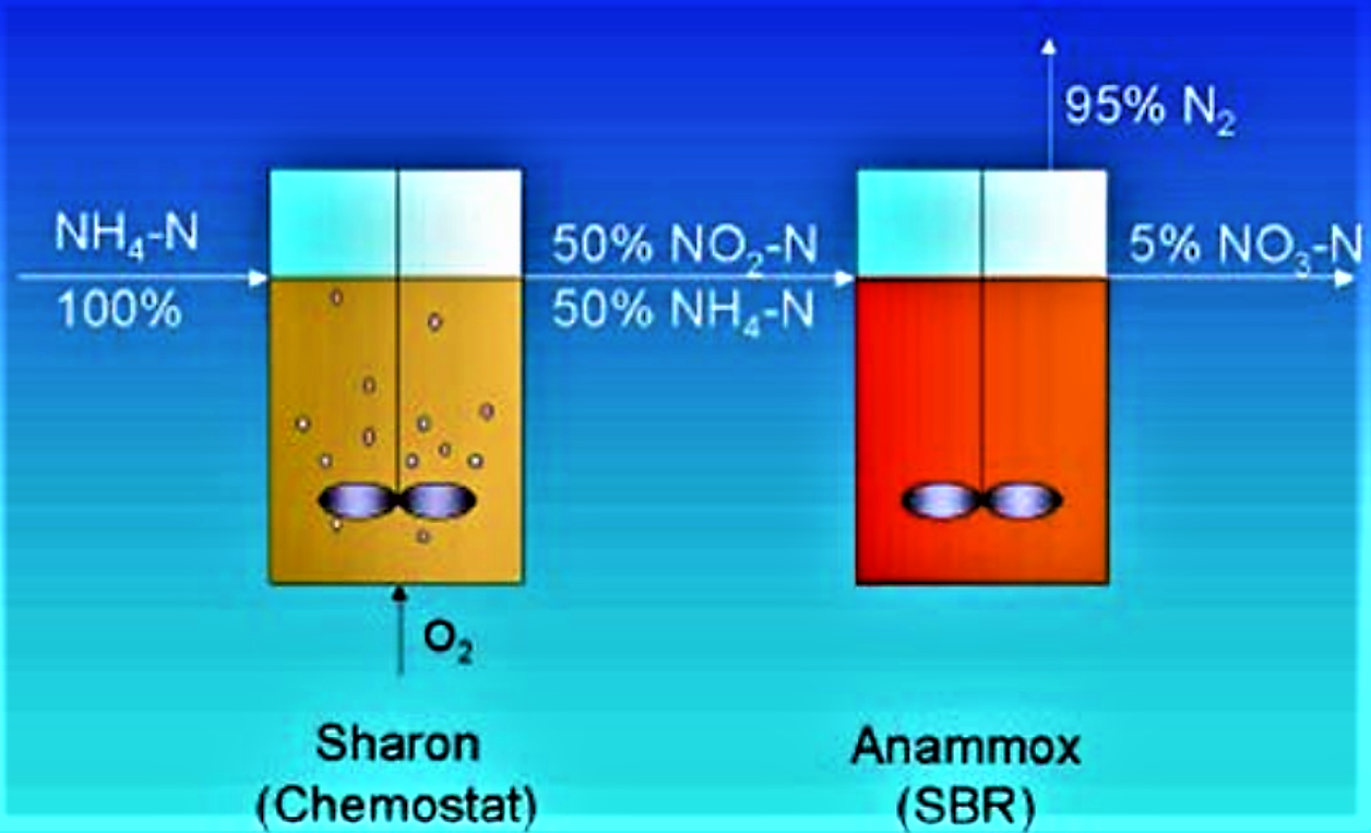 Principle of the combined Sharon Anammox process as it is applied in a treatment plant of Rotterdam. Source: HUMBERT (2011) 