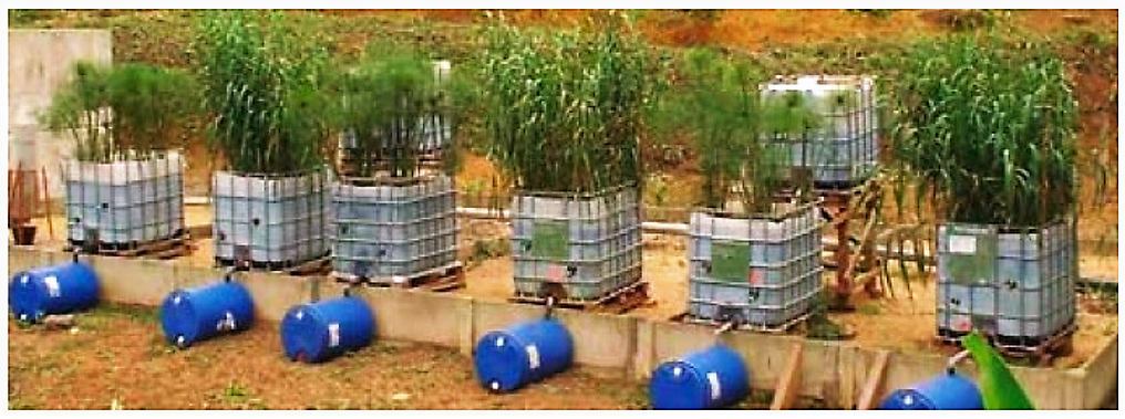 Pilot beds of the VFCW developed for faecal sludge dewatering study in sub-Saharan countries. Source: KONE & KENGE (2008)