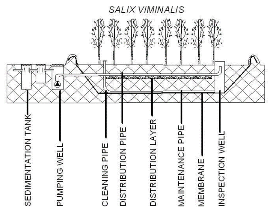 LANGERGRABER et al 2019. Schematic of a zero-discharge willow system