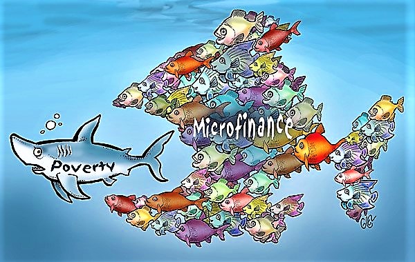 Does microfinance work?. Source: MAKING IT MAGAZINE (2010)