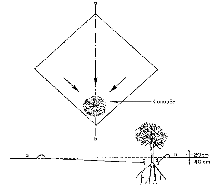 Diagram of a micro basin. Source: ROOSE (1996) 
