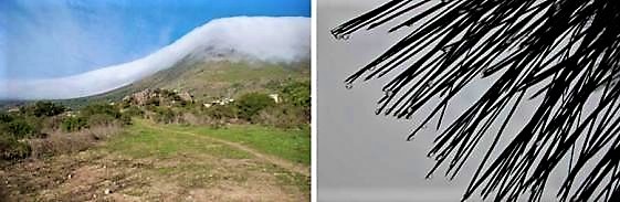 Fog produced by the flow of wind over terrain (left) and needles, with collected droplets from fog (right)