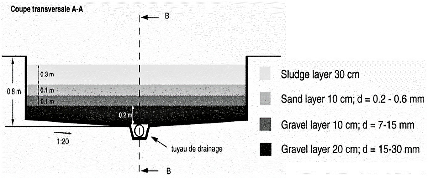 Crosscut of an unplanted drying bed. Source: STRAUSS & MONTANGERO (2002)