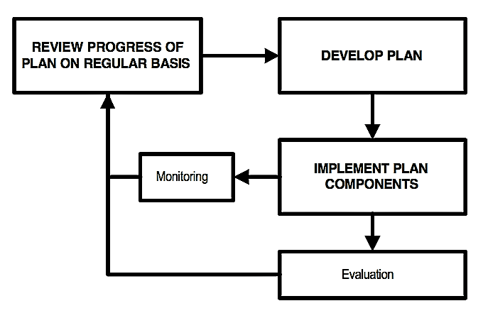 Links between planning and implementation. Note the importance that it gives to monitoring and evaluation of plan outcomes and the use of that information to review progress with the plan and evaluate its effect from time to time. Source: TAYLER et al. (2000)
