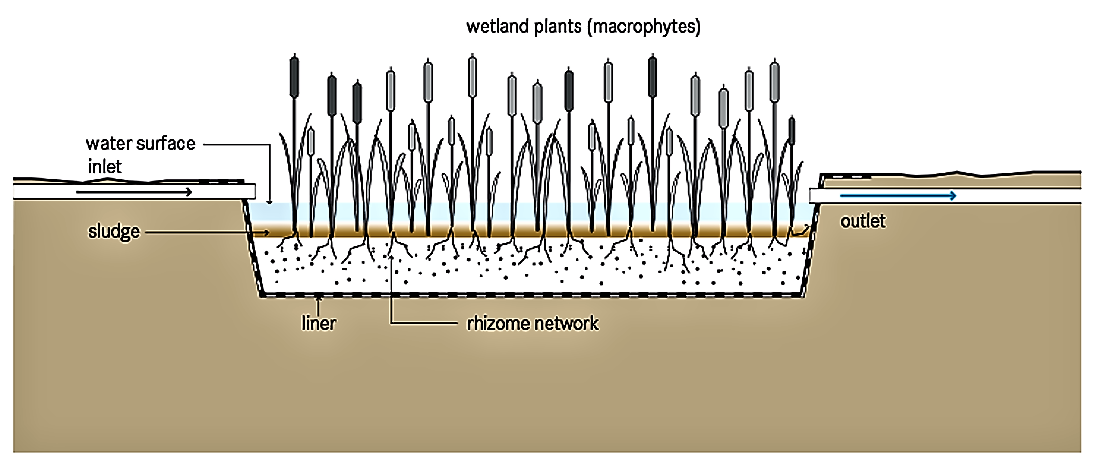 Functional schematic of a free-water surface constructed wetland. Source: TILLEY et al. (2008) 