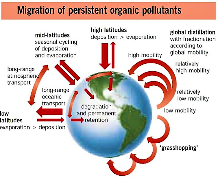 Persistent organic pollutants (POPs) spread via a variety of mechanisms at different latitudes. Source: UNEP (2002) 