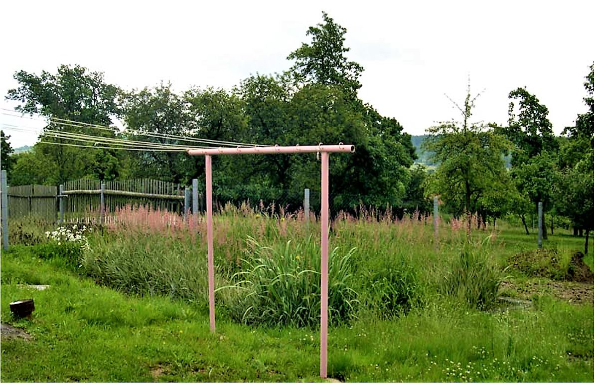 On-site horizontal flow constructed wetland at Struhaře, Czech Republic, planted with Phalarisarundinacea and Iris pseudacorus. Source: VYMAZAL (2010)