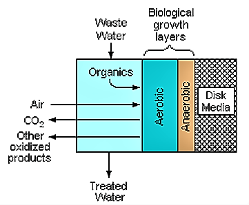 Both aerobic and anaerobic microorganisms can live in the biofilm and contribute to the removal of pollutant form the water. Source: WIKIPEDIA (2007)
