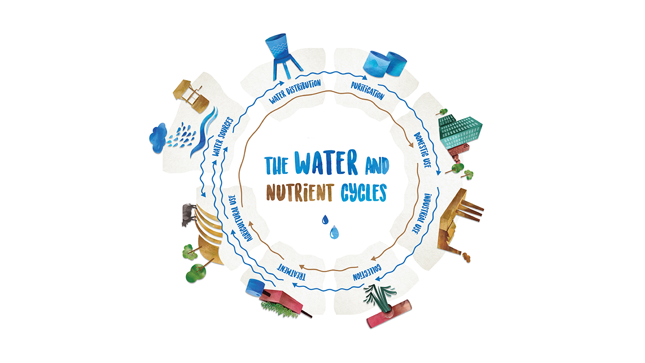 water and nutrient cycle
