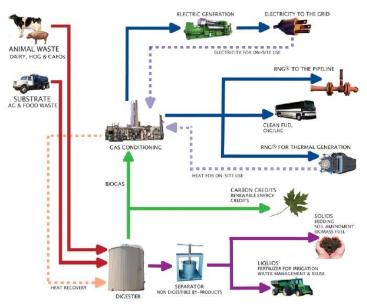 large scale milk power production It also hopes that running large-scale farms with cutting-edge r&d functions would give consumers peace of mind about product safety by accurately grasping data related to radiation in milk and . large scale milk power production It also hopes that running large-scale farms with cutting-edge r&d functions would give consumers peace of mind about product safety by accurately grasping data related to radiation in milk and .