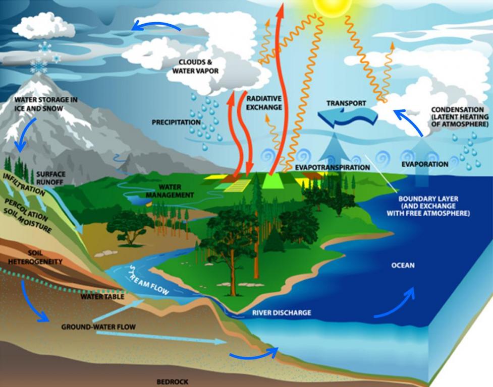 The Water Cycle  SSWM