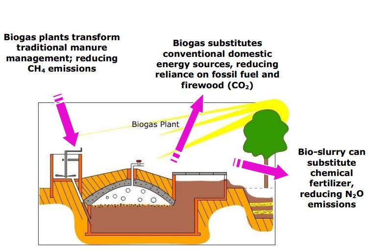 The benefits of agricultural small-scale biogas plants.